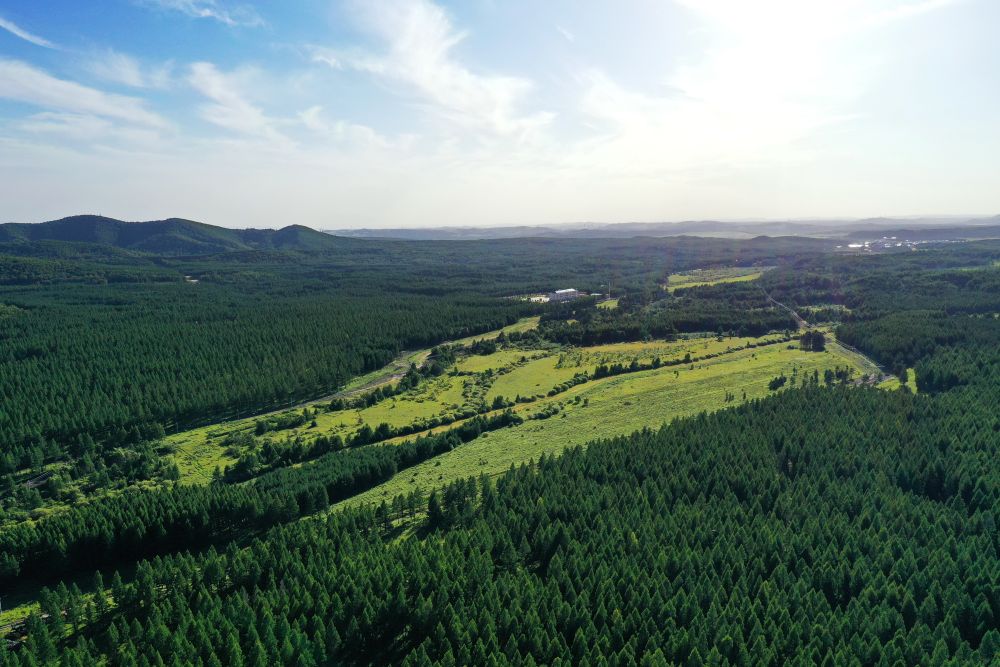 全景视界|飞阅塞罕坝