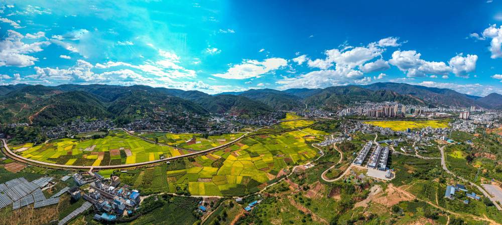 大理南涧:稻田熟 秋色美