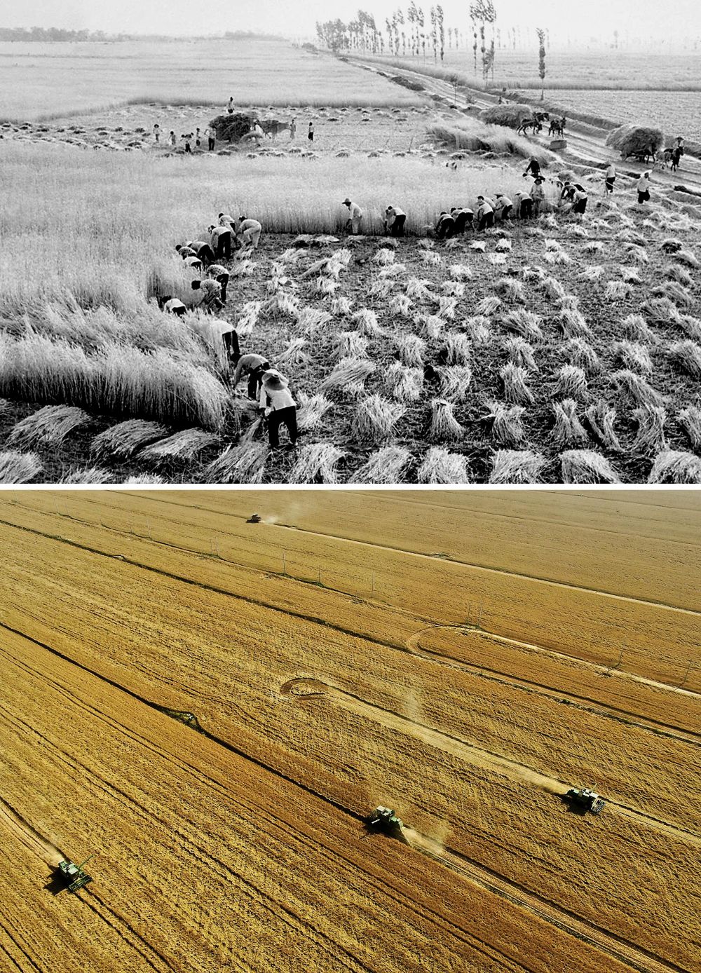 河南农业生产方式的变化