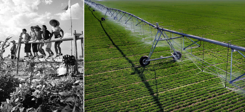 河南农业生产方式的变化