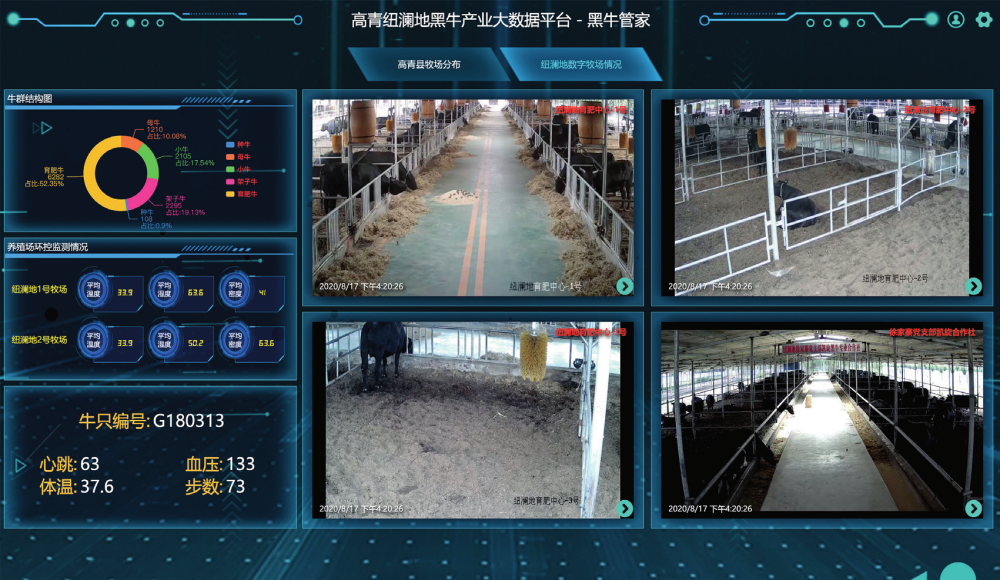 高青黑牛“数”养成,山东纽澜地如何成为国内高端肉牛新零售第一品牌?
