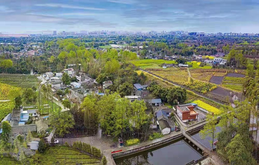 乡村振兴丨四川小罗村：一个城乡接合部的乡村振兴试验