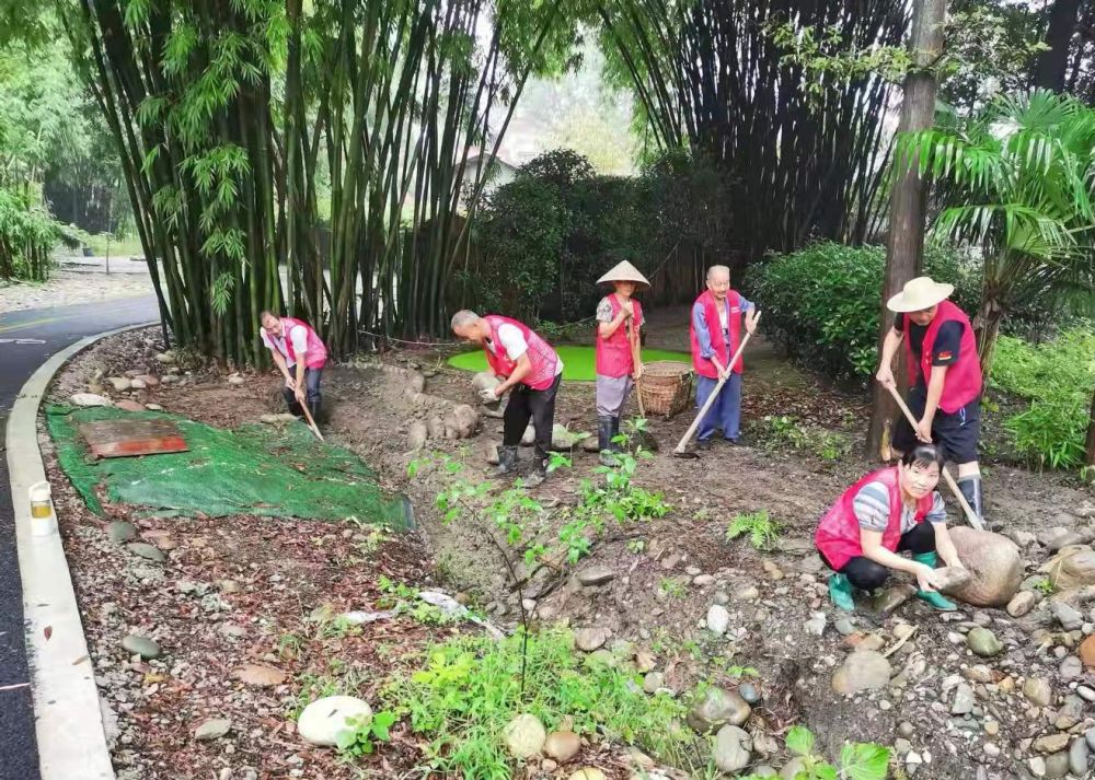 乡村振兴丨四川小罗村：一个城乡接合部的乡村振兴试验(图3)