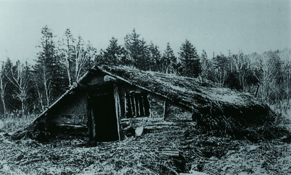 密营的残垣既像是刚从山林间"发掘"出来,又像是即将被丛莽沼泽吞噬