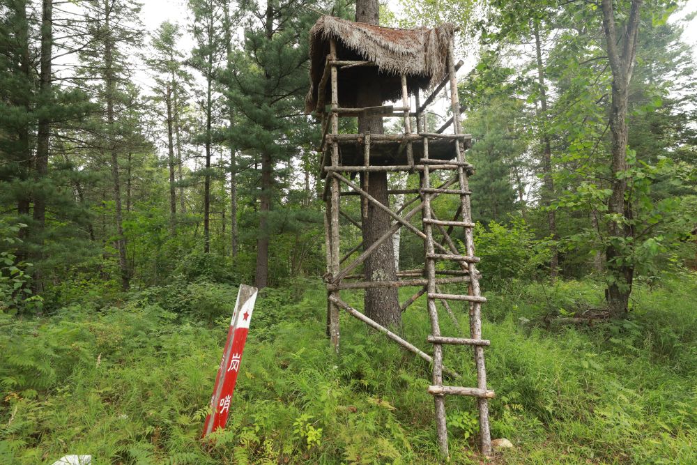 探抗联密营,在"生死场"体味"荒野抗敌"