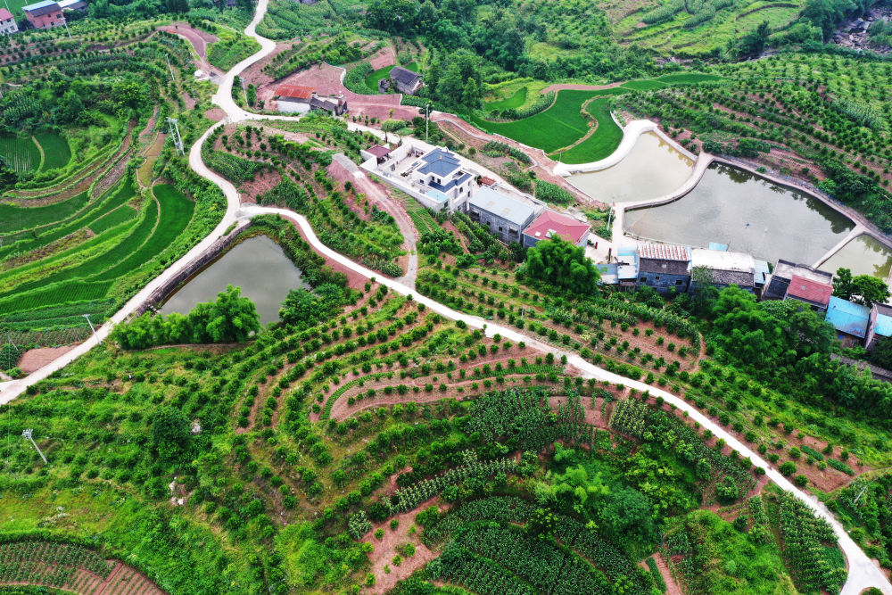 重庆市开州区:山山水水，融出一城生态经济美