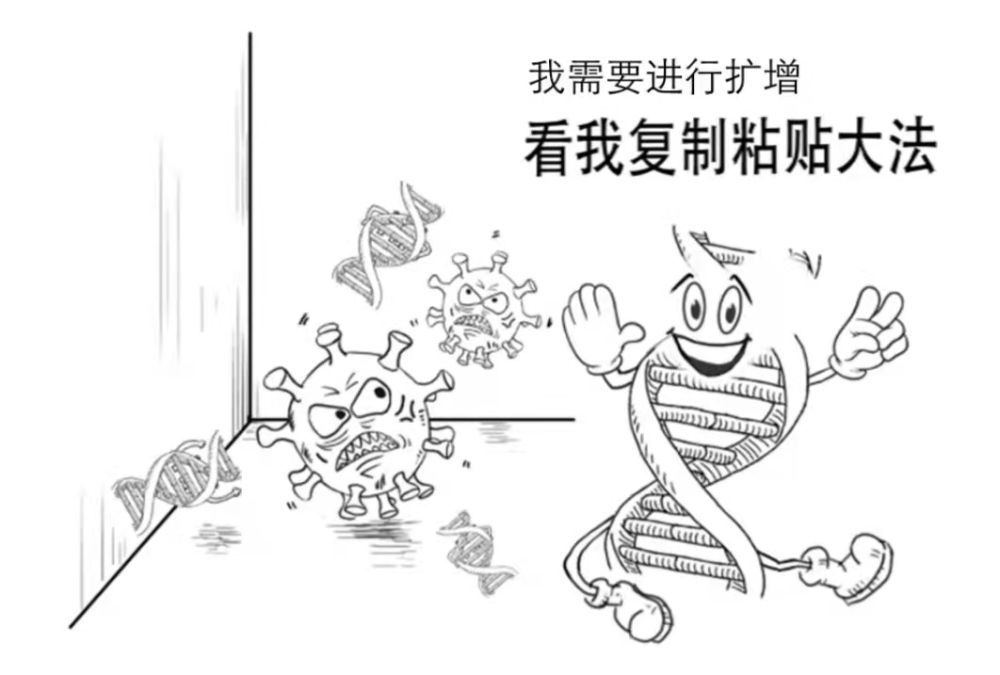 一份核酸检测报告是怎样诞生的?