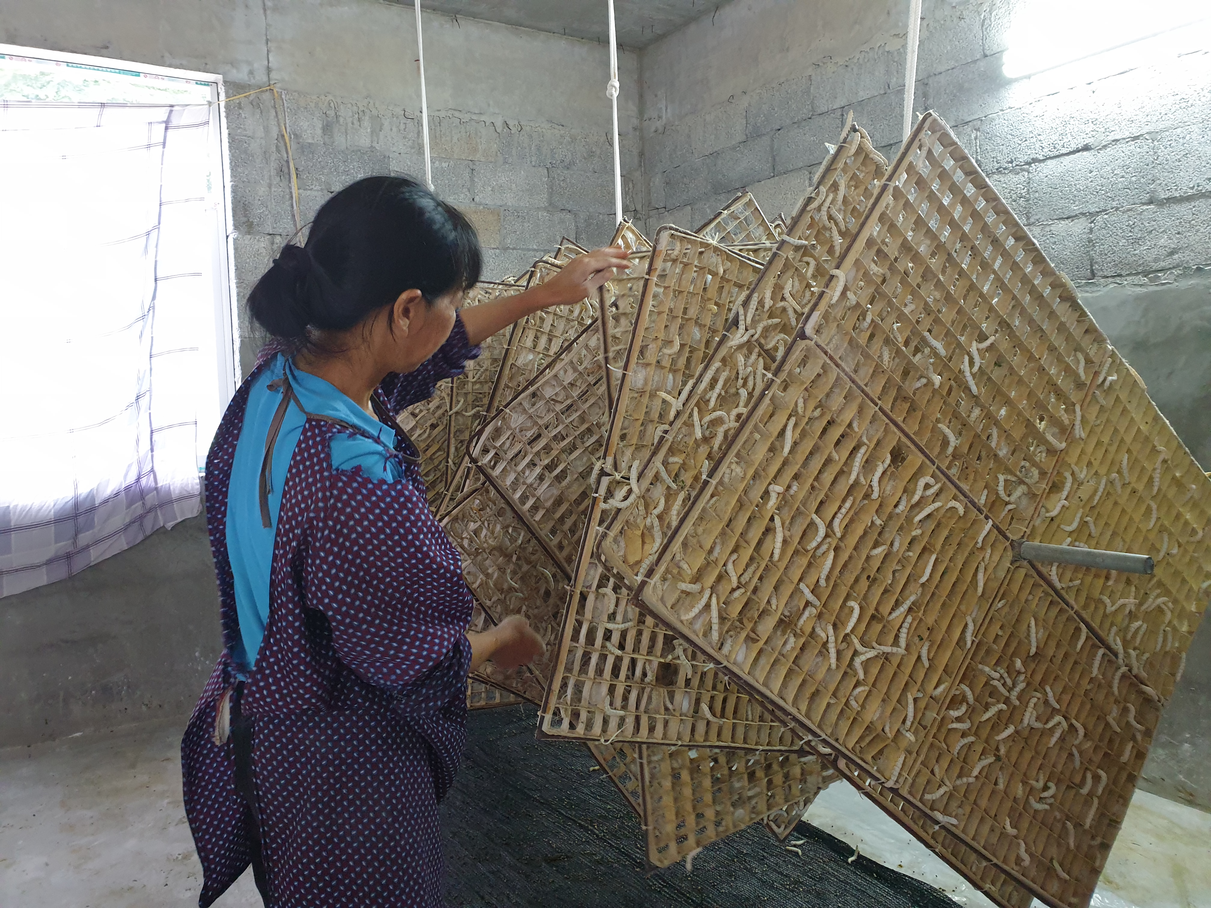 广西接续推2022-04-03央广网贺州4月3日消息(记者吴良艺 通讯员程偲琪